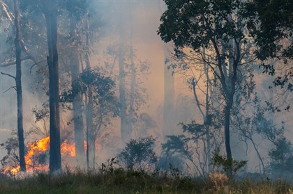 Many horse owners live in fire pone areas of Australia, and it’s therefore important to be properly prepared during the warmer months