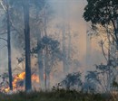 Many horse owners live in fire prone areas of Australia, and it’s therefore important to be properly prepared during the warmer months