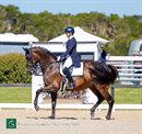 Mary Hanna and Syriana. © Kirsty Pasto / Equestrian Australia High Performance