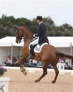 Matthew Doslwey and AEA Prestige in the canter pirouette - © Roger Fitzhardinge
