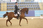 Matthew Dowsley and AEA Prestige, and a fabulous 72% in the Grand Prix test - © Roger Fitzhardinge