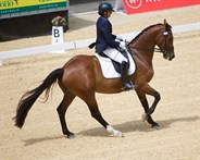 Michelle Baker and Bradgate Park Armadeus were fourth in the Advanced - © Roger Fitzhardinge