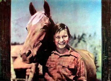 My Friend Flicka was a 1943 movie, and later a TV series. © RGR Collection : Alamy Stock Photo