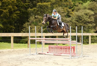 Natural ability! Six-year-old pony stallion Highlight is flying. © Kelly Wilson