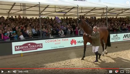 Nick Skelton and Big Star's retirement at Royal Windsor Horse Show - Screenshot