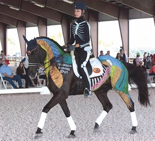No skeleton, frame or muscular system in either horse or human is completely symmetrical. Photo: Exisle Publishing
