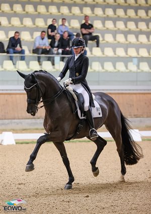 Simone Pearce and All We Need (Ally), pictured here competing previously at CDI Stadl Paura. Image: Petra Kerschbaum/EQWO.net