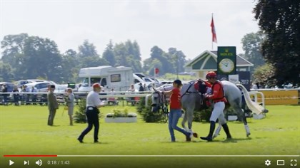 Paul Tapner, Burghley Horse Trials 2017 - Screenshot