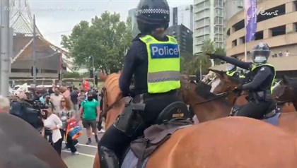 Police horse hit by flagpole.