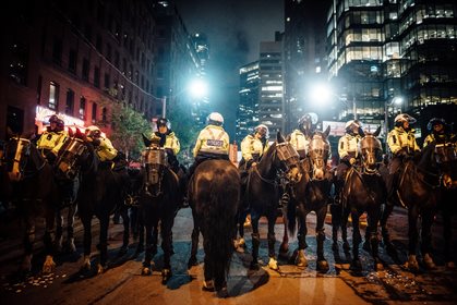 Police horses credit copyright free