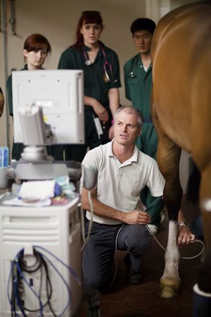 Professor Chris Whitton, head of the U-Vet's Equine Centre. © University of Melbourne