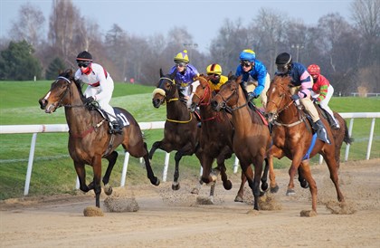 Racehorses - Pixabay