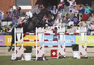 Rebecca Jenkins and RSB Jacana, who finished in ninth place - © Adele Severs/EQ Life
