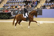 Riley Alexander and Larenso, 71.11% in the GP CDI-W - © Roger Fitzhardinge