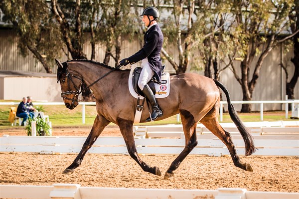 Rowan Luxmoore and Bells N Whistles scored 29.8 in the CCI3*, placing them third - © Geoff McLean/Gone Riding Media