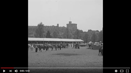 Royal Windsor Horse Show - Screenshot