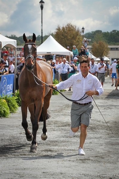 Shane Rose and Virgil in the trot up - © Michelle Terlato