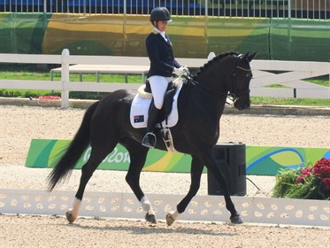 Sharon Jarvis representing Australia at the Rio Olympic Games © Equestrian Australia
