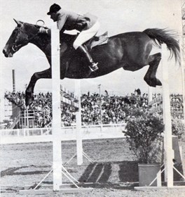Showjumper Kevin Bacon © Equestrian Australia
