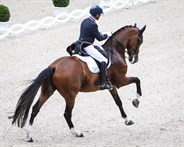 Steffen Peters and Suppenkasper in the CDIO5* GP