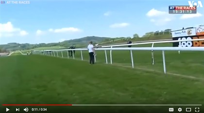 TV reporter stops runaway horse - Screenshot