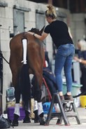 Tattersalls Horse Trials (Wednesday trot up) - © Lorraine O’Sullivan/Tattersalls Horse Trials