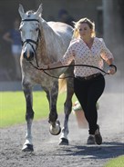 Tattersalls Horse Trials (Wednesday trot up) - © Lorraine O’Sullivan/Tattersalls Horse Trials