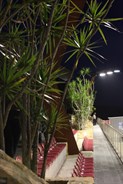 The arena at Willinga Park at night