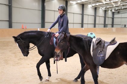 The leading cues that Cooper learns on the ground, translate directly as he works alongside our lead horse Harry -© Elsa Roberts