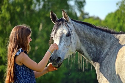 The special relationship between human and horse can be traced back more than sixteen thousand years