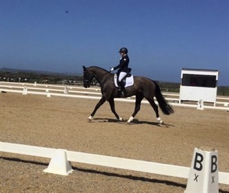 The third edition of the Australian Amateur Owner Rider Dressage Champs was held at Boneo Park and saw some sensational results©Kylie Calderwood