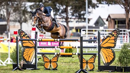 Tom McDermott and his horse Elegance De La Charmille, winners of the Senior Titles at the NSW Showjumping Championships - © Stephen Mowbray