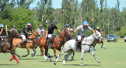 Windsor Polo Club played host to some of Australia’s best polo players. © The Thoroughbred Club