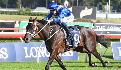 Winx winning the 2018 Queen Elizabeth Stakes. Image: ATC
