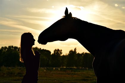 Woman and horse pixabay