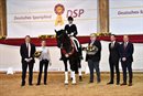 Simone Peace and Millennium, the ‘Deutsches Sportpferd Elite Stallion of the Year’. © Deutsches Sportpferd