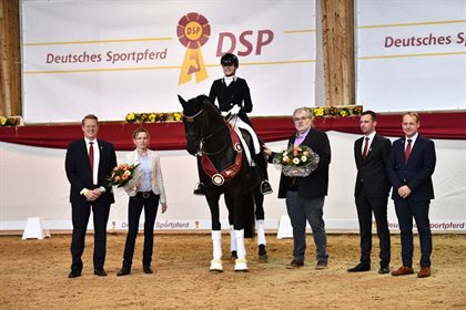 Simone Peace and Millennium, the ‘Deutsches Sportpferd Elite Stallion of the Year’. © Deutsches SportpferdDeutsches Sportpferd