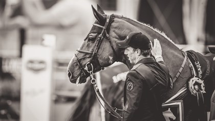 top stallion Emerald N.O.P will retire from show jumping at the age of 15 © LGCT / Stefano Grasso