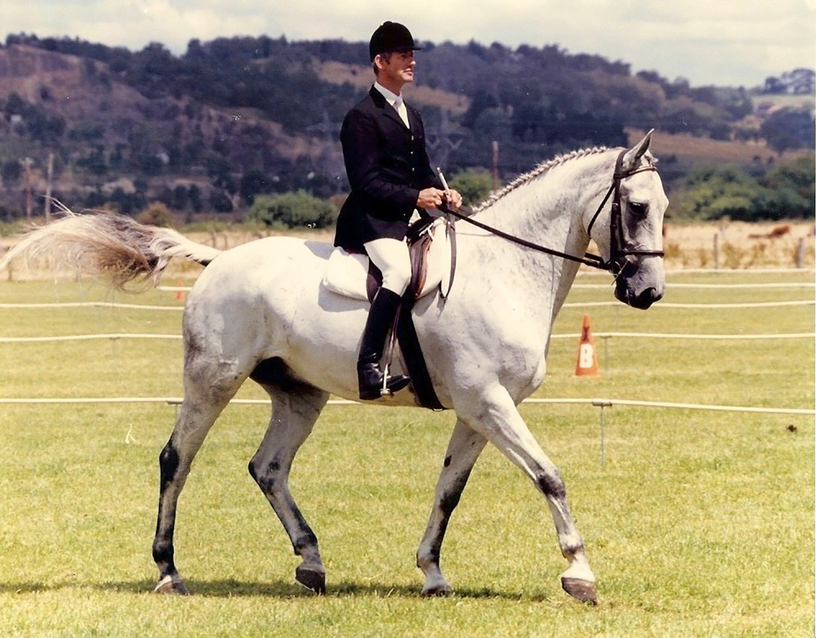 DEVELOPING THE CORRECT DRESSAGE HORSE