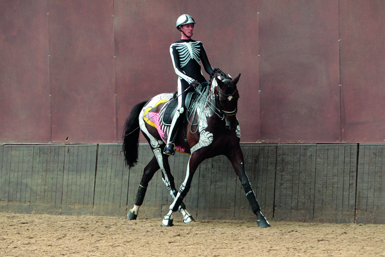 A RELAXED HORSE IS A HAPPY HORSE