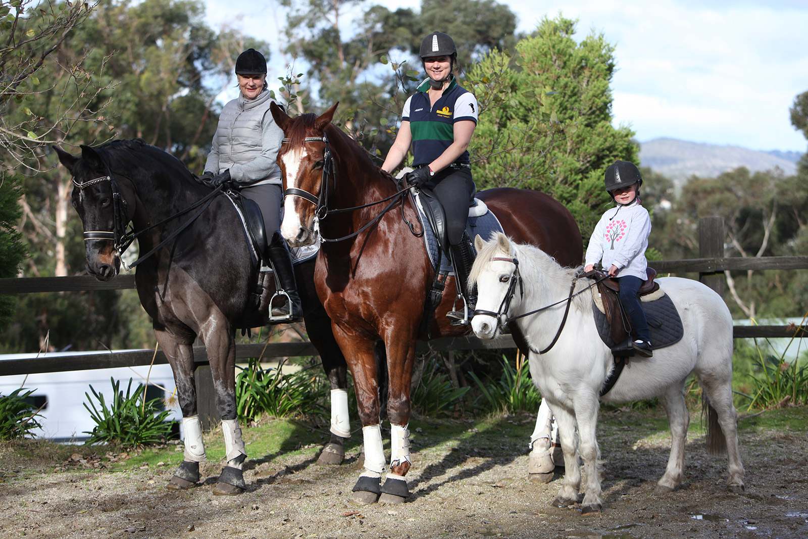 MUTANT EQUINE NEUROSIS GENE OR LUCK OF THE DRAW?