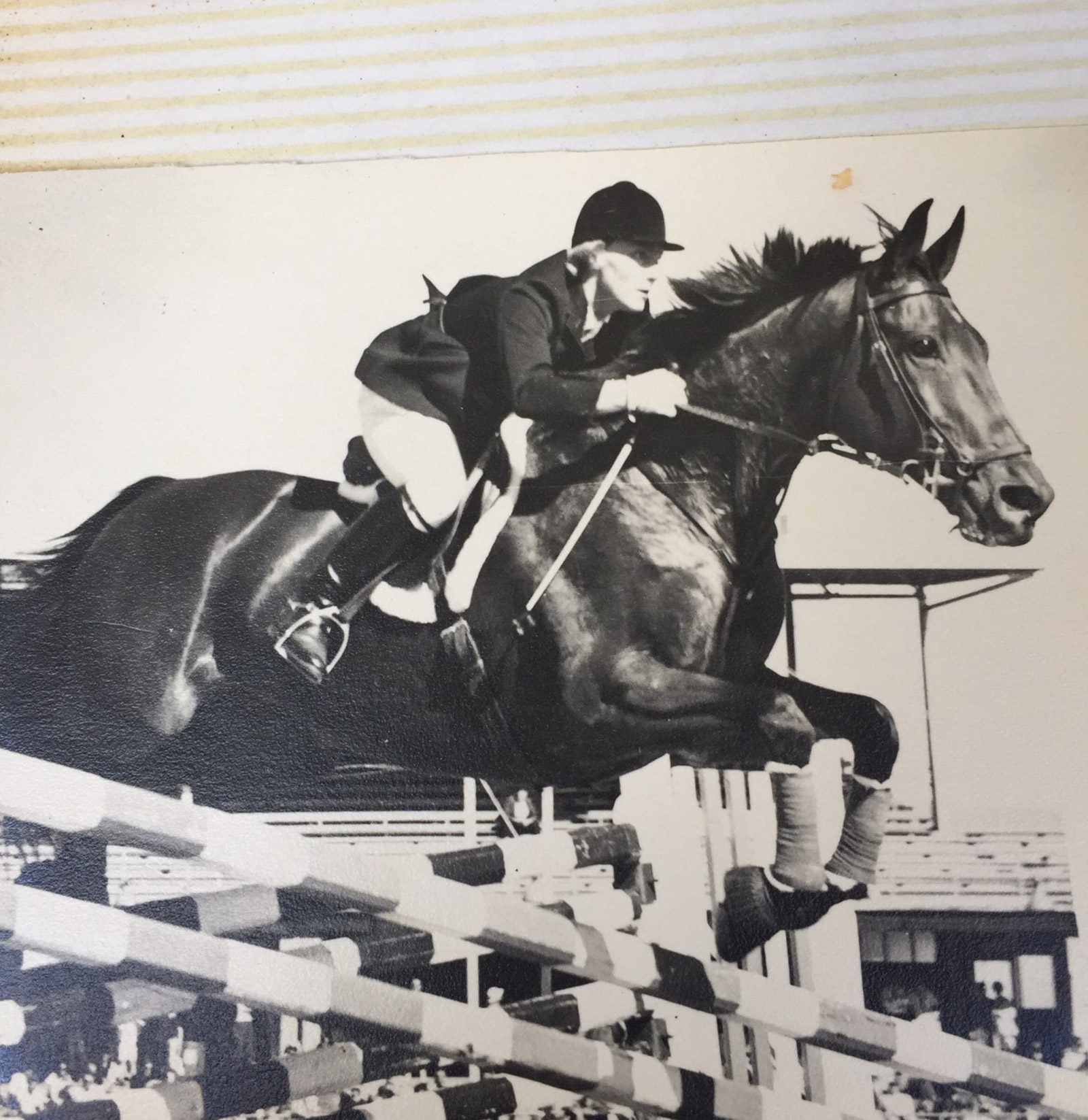 COURAGEOUS KIWI BLAZES HER OWN TRAIL (Part 3)