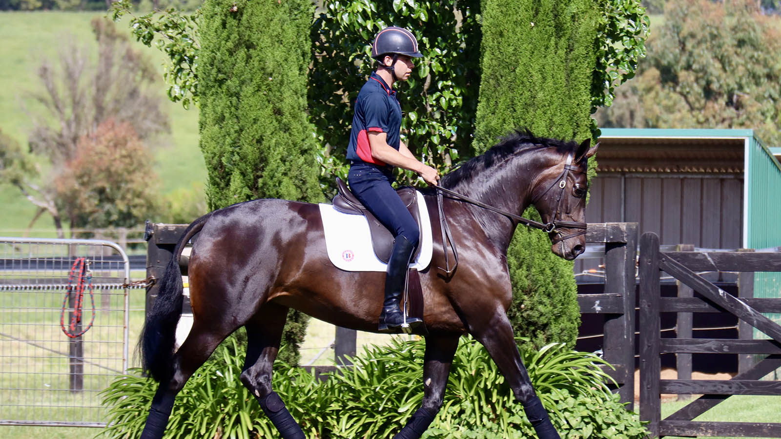 SUPREME SEASON BECKONS FOR GREG MICKAN