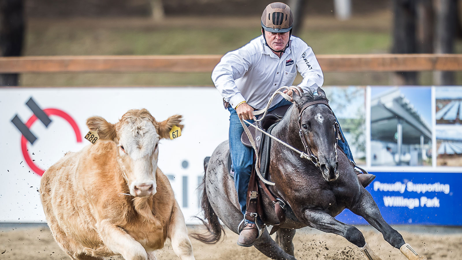 BUCKLE UP FOR A WILD TIME AT WILLINGA PARK