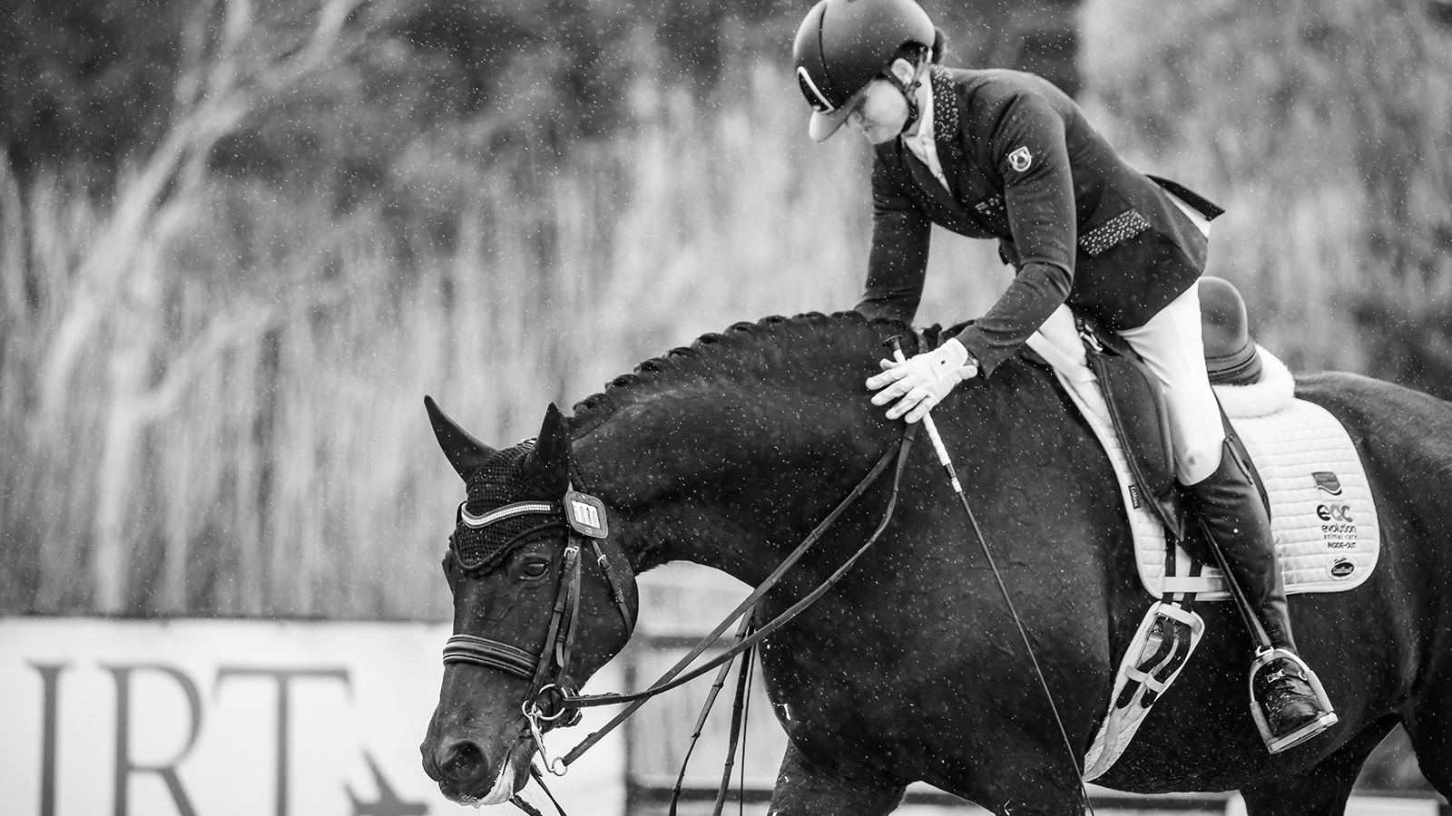 SHARON JARVIS FINDS HER UNICORN