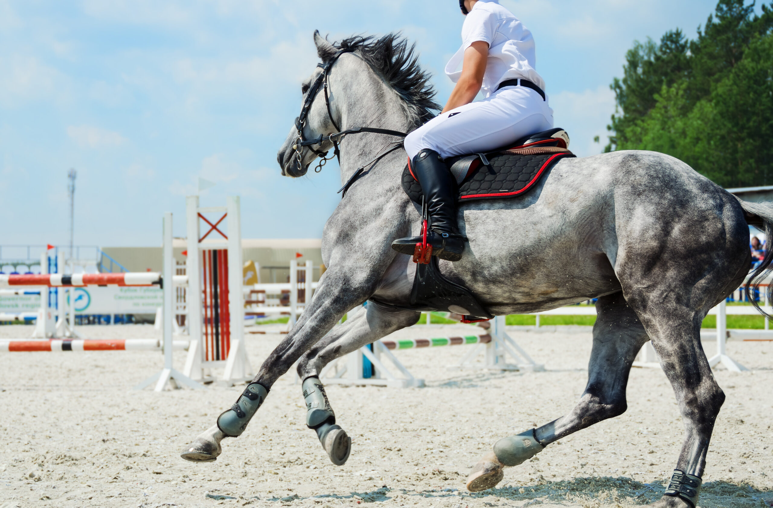 DRESSAGE FOR SHOWJUMPERS