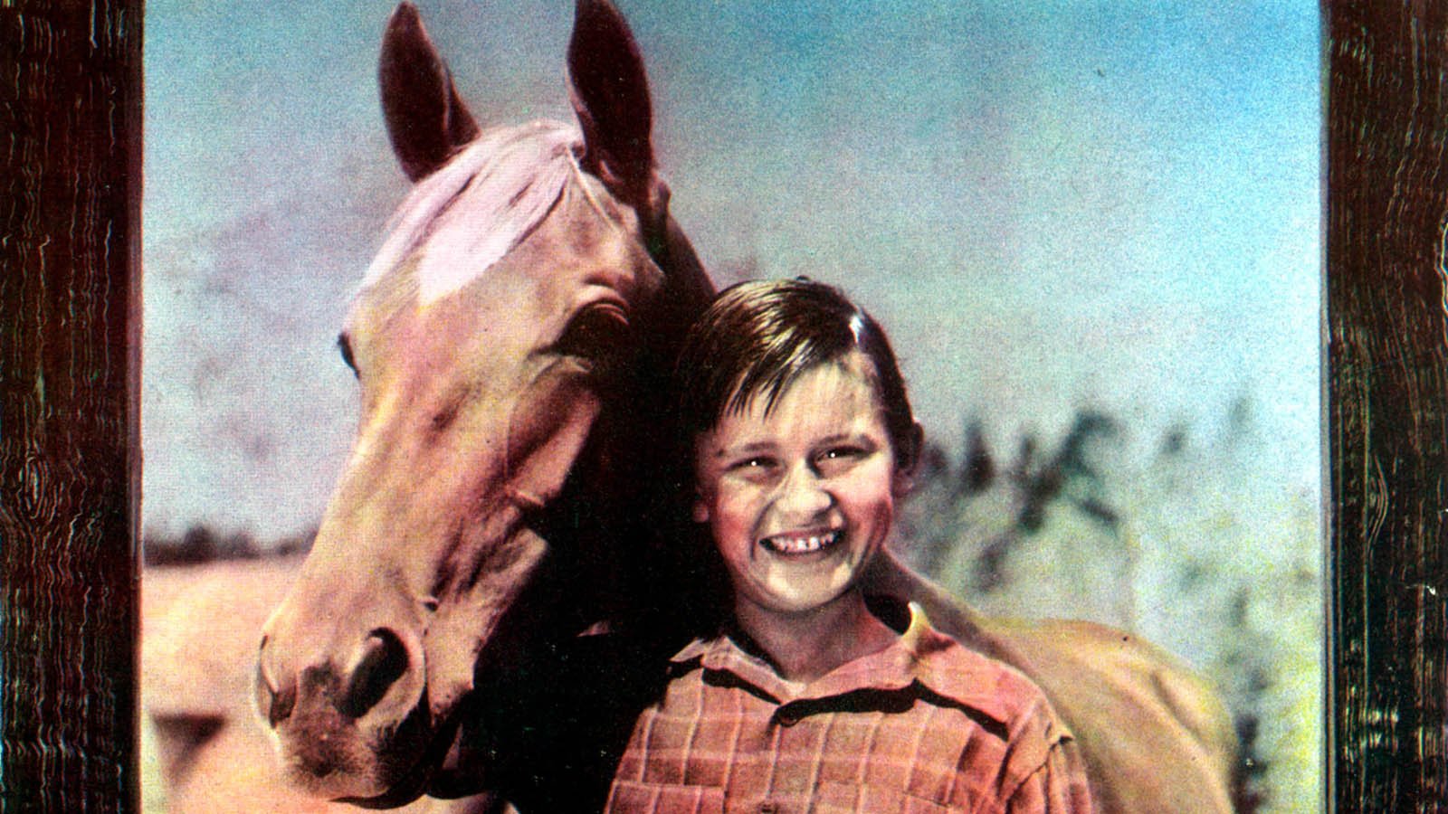 MY FRIEND FLICKA