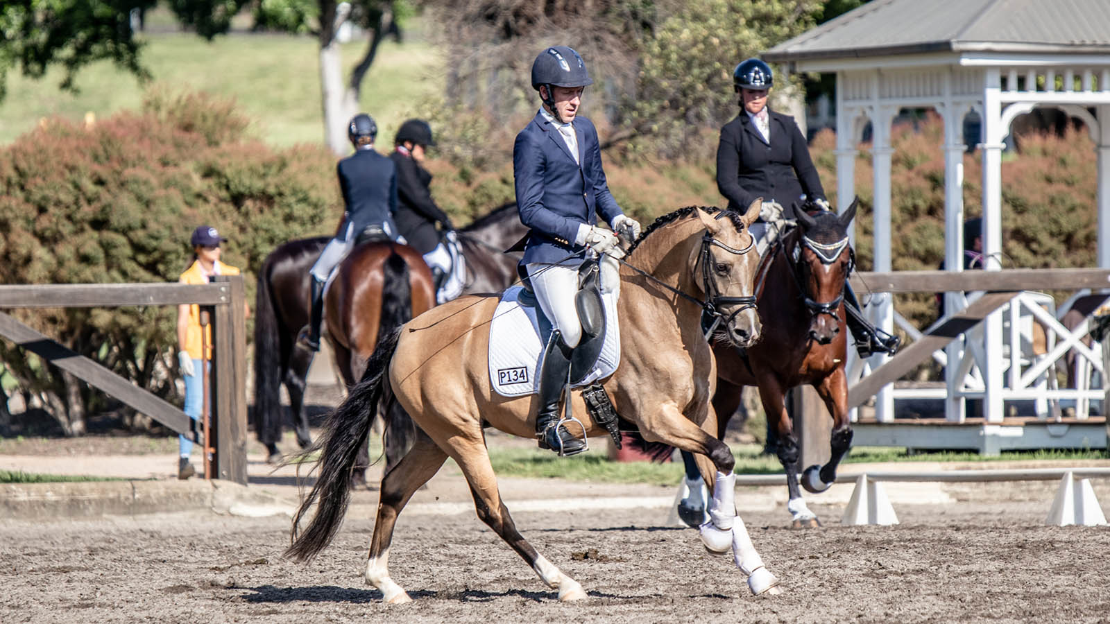 THE VERSATILITY OF THE GERMAN RIDING PONY