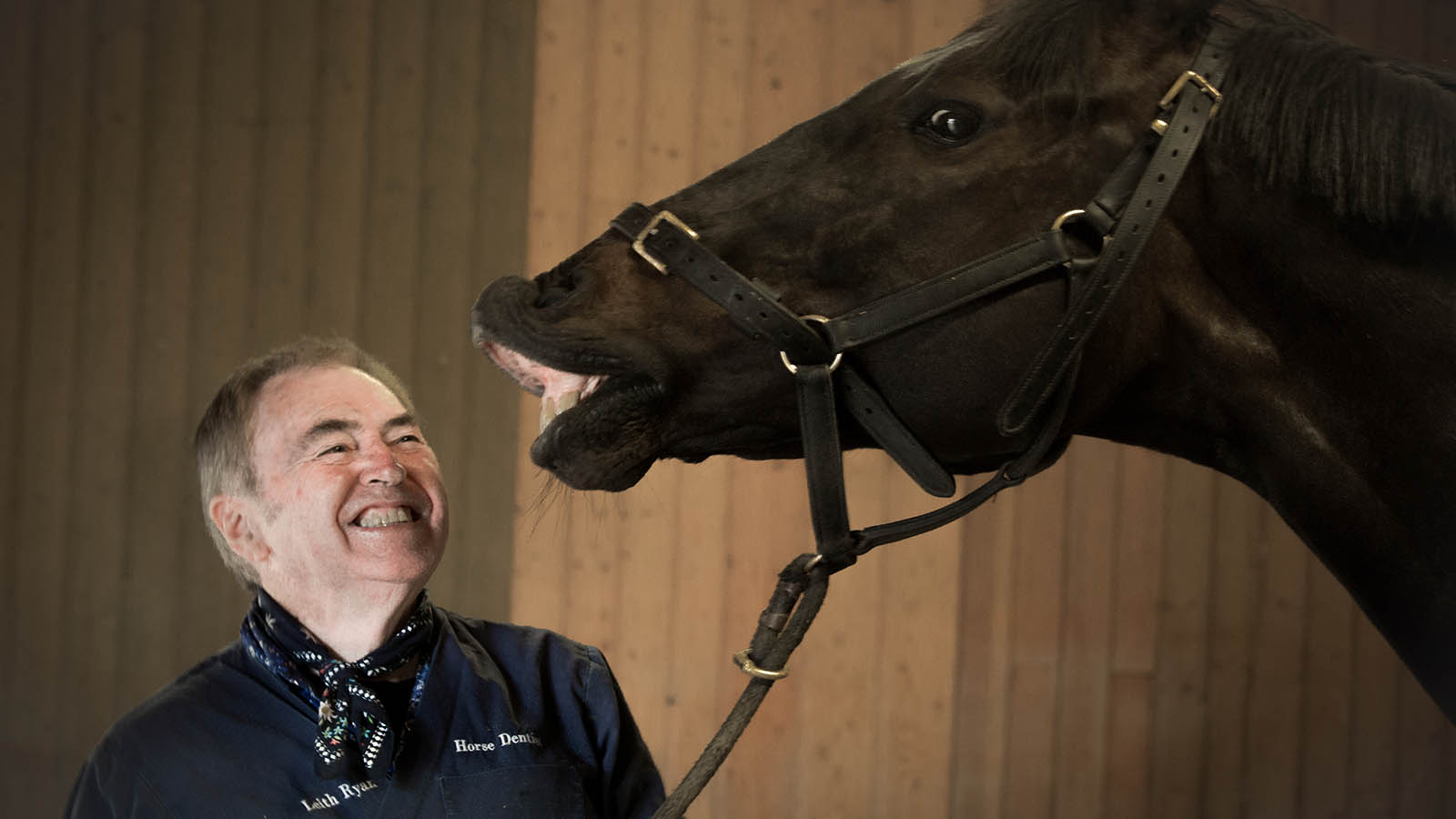 LEITH RYAN, THE SINGING HORSE DENTIST