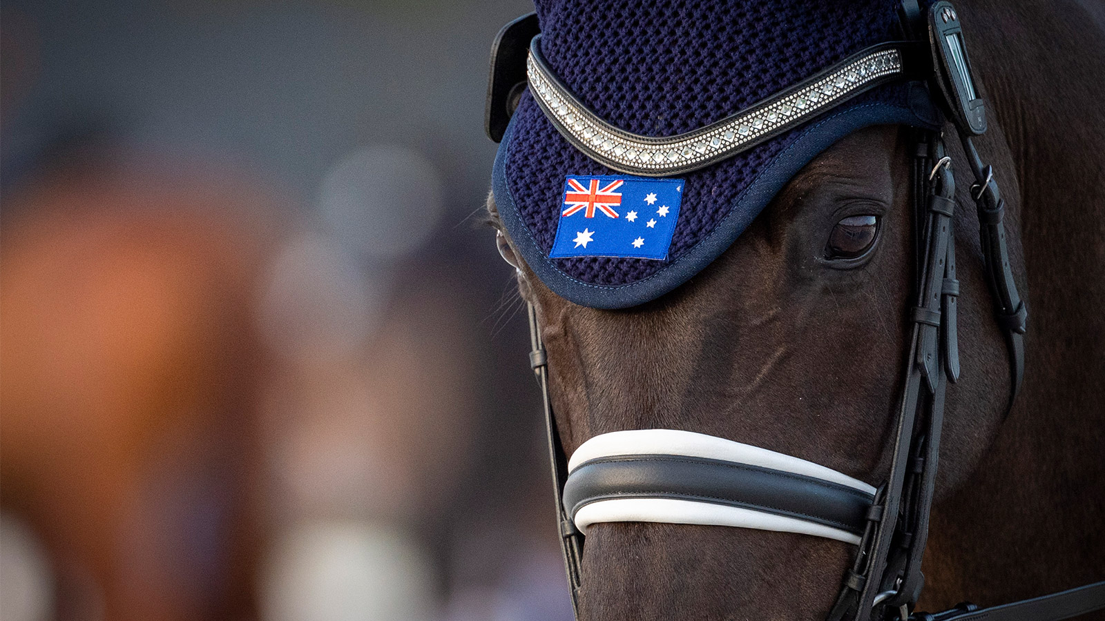 PARA EQUESTRIAN FAB FOUR WIN HEARTS AT TOKYO